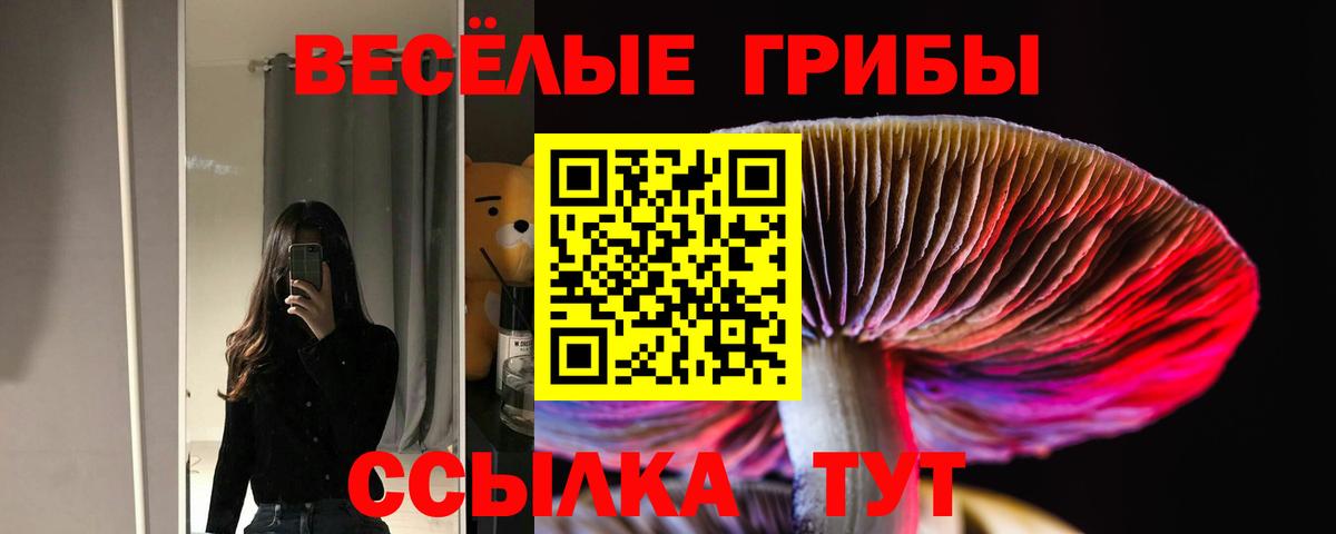 Псилоцибиновые грибы прущие грибы Берёзовский